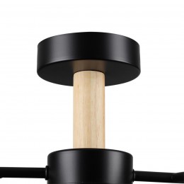 Потолочный светильник LUMION 8194/5C