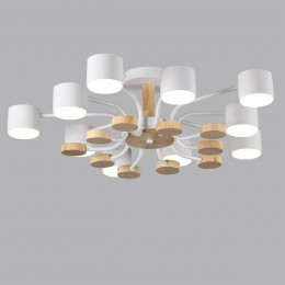 Потолочный светильник LUMION 8196/10C