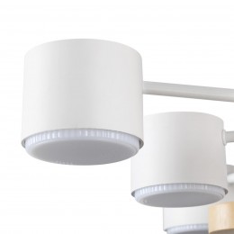 Потолочный светильник LUMION 8196/10C