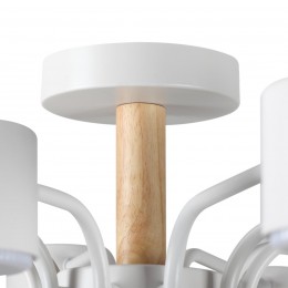 Потолочный светильник LUMION 8196/10C