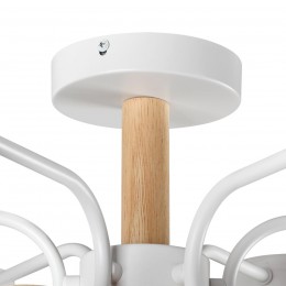 Светильник потолочный LUMION 8231/6C