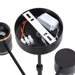 Люстра потолочная LUMION 8234/6C