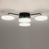 Люстра потолочная LUMION 8236/4CL