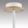 Люстра потолочная LUMION 8246/5C