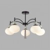 Люстра потолочная LUMION 8273/5C