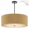 Люстра потолочная LUMION 8286/7