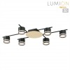 Светильник подвесной LUMION 8304/6C