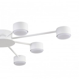 Люстра LUMION 8343/8C