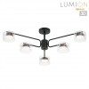 Светильник потолочный LUMION 8349/6C