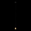 10151 Подвесной светильник LOFT IT Rain