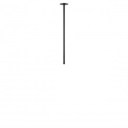 10359/600 Black Потолочный светильник LOFT IT Cane