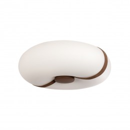 10473 Потолочный светильник LOFT IT Bolina