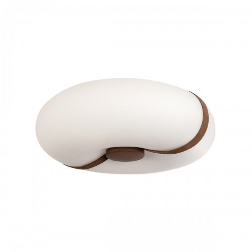 10473 Потолочный светильник LOFT IT Bolina