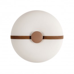 10473 Потолочный светильник LOFT IT Bolina