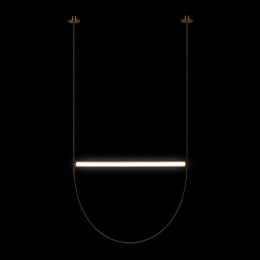 10221/1700 Подвесной светильник LOFT IT Liana