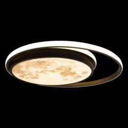 10217 Потолочный светильник LOFT IT Luna