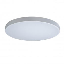 10002/48 White Потолочный светильник LOFT IT Axel