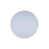 10002/48 White Потолочный светильник LOFT IT Axel