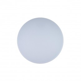 10002/48 White Потолочный светильник LOFT IT Axel