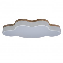 10005/36 White Потолочный светильник LOFT IT Axel