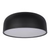 10201/480 Black Потолочный светильник LOFT IT Axel