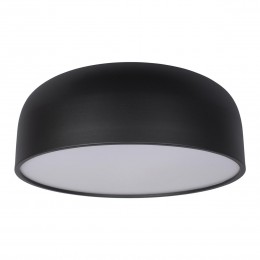 10201/480 Black Потолочный светильник LOFT IT Axel
