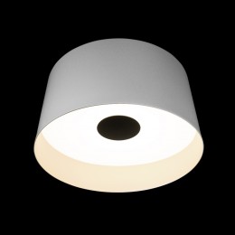 10360L White Потолочный светильник LOFT IT Duo