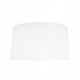 10360L White Потолочный светильник LOFT IT Duo