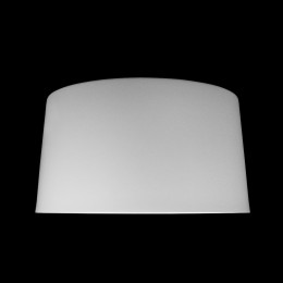 10360L White Потолочный светильник LOFT IT Duo