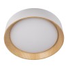 10202 White Потолочный светильник LOFT IT Coin