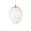 10531E Подвесной светильник LOFT IT Fionora