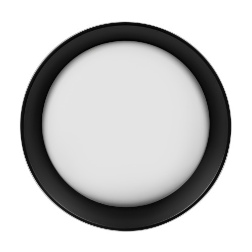 10202 WB  Потолочный светильник  LOFT IT Coin