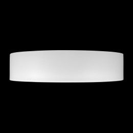 10202 WB  Потолочный светильник  LOFT IT Coin