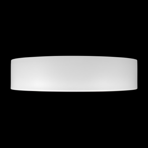 10202 WB  Потолочный светильник  LOFT IT Coin