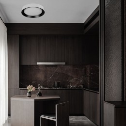 10202 WB  Потолочный светильник  LOFT IT Coin