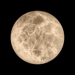 10414W/M Настенный светильник LOFT IT Emi