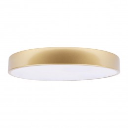 10228/A Потолочный светильник LOFT IT Flims