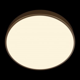 10228/A Потолочный светильник LOFT IT Flims