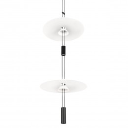 10598A Подвесной светильник LOFT IT Flamingo