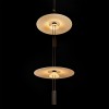 10598A Подвесной светильник LOFT IT Flamingo