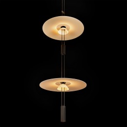 10598A Подвесной светильник LOFT IT Flamingo