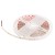 10363/12065 NW LED Светодиодная лента LOFT IT Strip 5m, 9,6W/m, 24V, 4000K, IP65