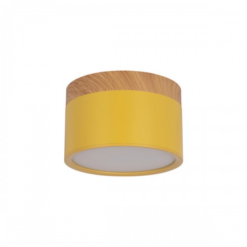 10162 Yellow Накладной светильник LOFT IT Grape