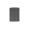 10344 Black Накладной светильник LOFT IT Rush