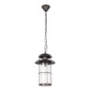 100015P Уличный подвесной светильник LOFT IT Palermo