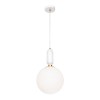 9975-C Подвесной светильник LOFT IT Parachilna