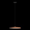 10119 Orange Подвесной светильник LOFT IT Plato