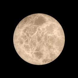 10414W/S Настенный светильник LOFT IT Emi