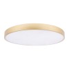 10228/B Потолочный светильник LOFT IT Flims