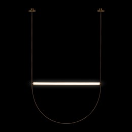 10221/2050 Подвесной светильник LOFT IT Liana